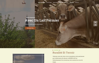 webdesign site internet dijon